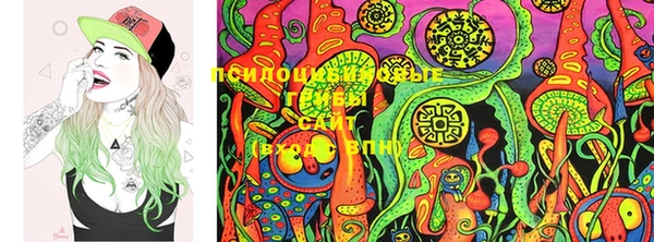 ECSTASY Абаза