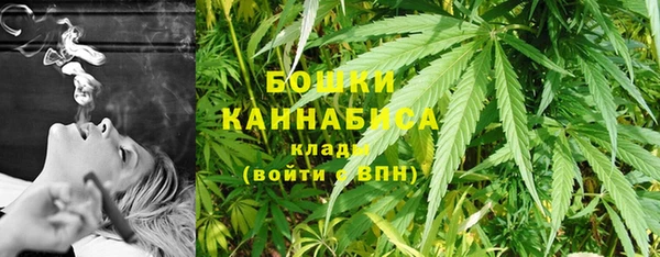 ECSTASY Абаза