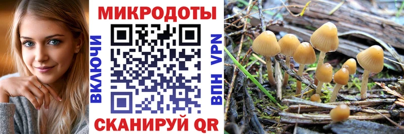 закладки  Юхнов  мориарти состав  Псилоцибиновые грибы мухоморы 